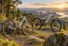 why-are-vitus-bikes-very-popular