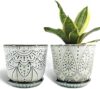 Gepege 6 Inch Beaded Ceramic Planter Set