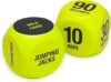 SPRI 6-Sided Exercise Dice for Group Fitness