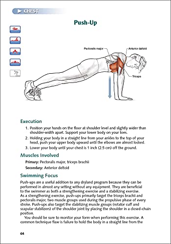 Anatomy Guide for Swimmers - Image 3