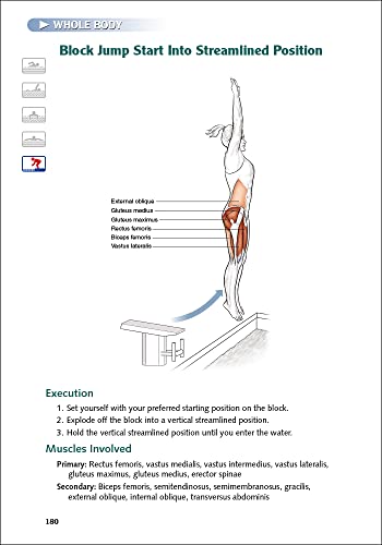 Anatomy Guide for Swimmers - Image 5