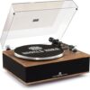 ANGELS HORN Bluetooth Turntable with Speakers