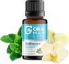 Great Vanilla Mint Mouthwash