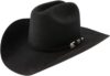 Stetson Buffalo Collection Western Hat