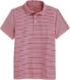 vineyard vines Bradley Stripe Sankaty Polo