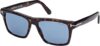 Tom Ford Ft0906 Buckey-02 Sunglasses