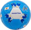 A Plus Collectibles Copa America 2024 Mini Soccer Ball