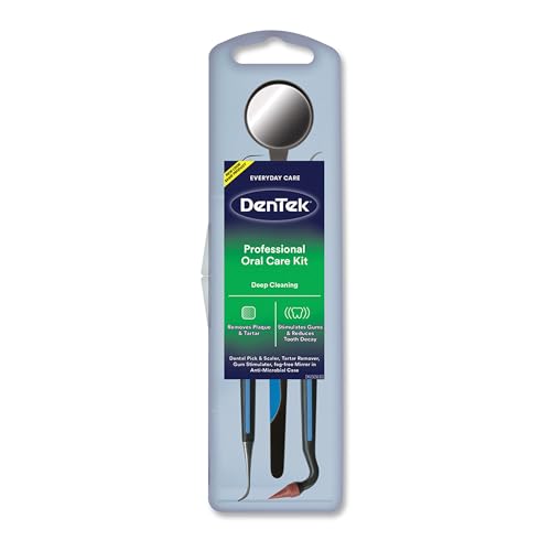 DenTek Oral Care Kit with GUM Interdental Brushes - Image 2