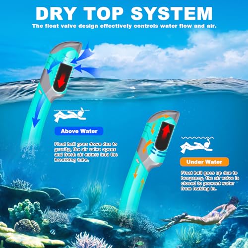 Felidel Adult Snorkeling Gear Set with Anti-Fog Mask - Image 3