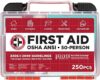 Be Smart Get Prepared First Aid Kit, 250 Piece, OSHA ANSI Compliant