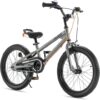 Royalbaby Freestyle Kids Bike with 2 Brakes