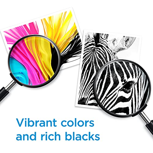 HP 67XL High-yield Black Ink Cartridge - Image 5