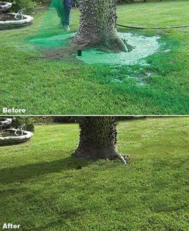 Hydro Mousse Liquid Lawn System - Grow Grass Anywhere - Image 4