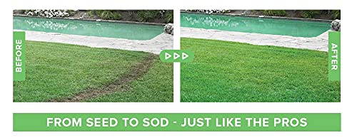 Hydro Mousse Liquid Lawn System - Grow Grass Anywhere - Image 5