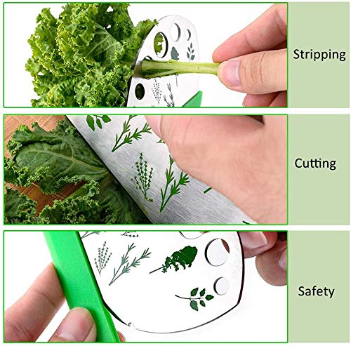 Jiaedge 9-Hole Stainless Steel Herb Stripper - Image 4