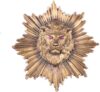 Vatslacreations Lion Power Brooch & Cufflinks