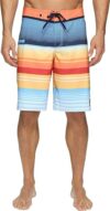 Quiksilver Everyday Stripe Vee 21 Boardshorts