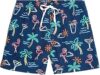 Chubbies Stretch Swim Trunks