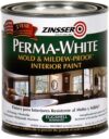 Rust-Oleum Mold & Mildew Proof Interior Paint, Eggshell