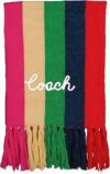 Coach Multi Stripe Knit Scarf