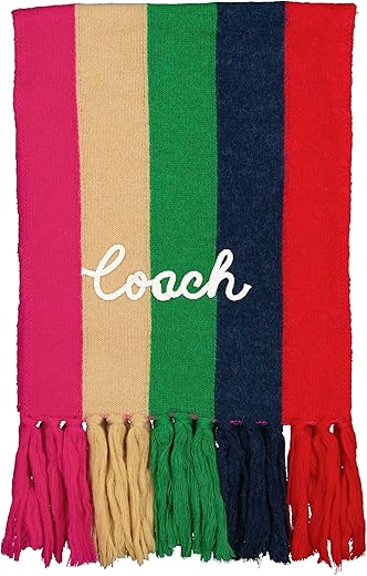 Coach Multi Stripe Knit Scarf