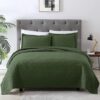 EXQ Home Olive Green Queen Quilt Set, 3 Piece