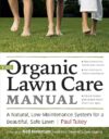 Organic Low-Maintenance Lawn Care Guide