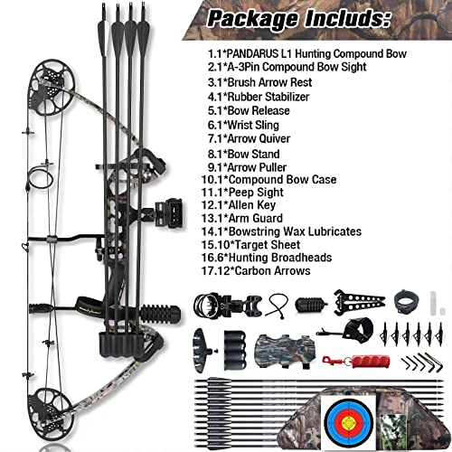 PANDARUS Adjustable Compound Bow 0-70 Lbs with Accessories - Image 3