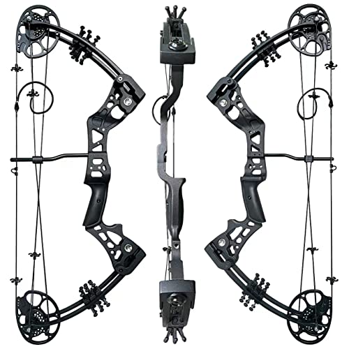 PANDARUS Adjustable Compound Bow Set for Beginners - Image 4