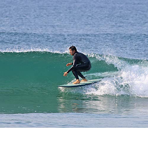 Paragon Surfboards Retro Egg Single Fin Surfboard, 6'6 - Image 5