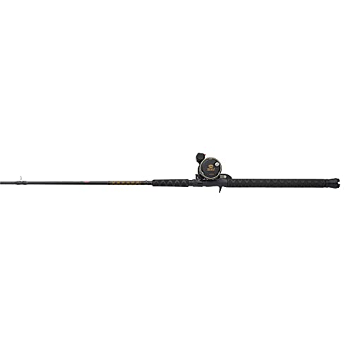 PENN Squall II Level Wind Combo, Black/Gold - Image 5
