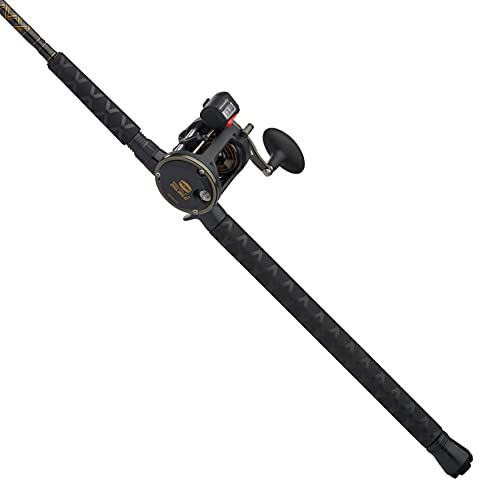 PENN Squall II Level Wind Combo, Black/Gold - Image 2
