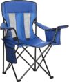 Amazon Basics Portable Camping Chair with Cooler and Carry Bag