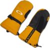 Oakley Powder Ridge Mittens