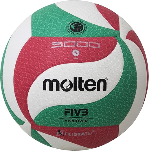 Molten Professional Volleyball Ball