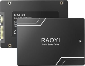 RAOYI 256GB SATA III Internal SSD