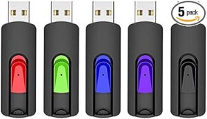 RAOYI 5 Pack 64GB USB Drives