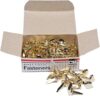 Charles Leonard Round Head Brass Fasteners, 100-Pack