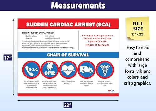 Safety Magnets Laminated Chain of Survival Posters, 17x22 in (2 Pack) - Image 4