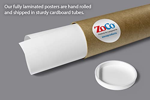 Safety Magnets Laminated Chain of Survival Posters, 17x22 in (2 Pack) - Image 5