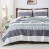 Andency Sage Green King Size Quilt Set, 3 Pieces