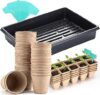 CEED4U Seed Starter Kit with Peat Pots