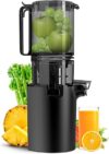 Canoly Slow Cold Press Juicer with Larger Chute