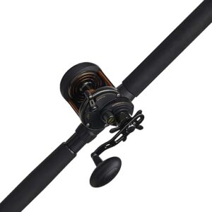 PENN Squall® Star Drag Reel