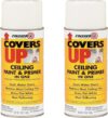 Stain Sealing Ceiling Paint, White, 2-Pack