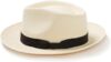 Stetson Panama Hat