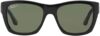 Ray-Ban Light Havana Frame Sunglasses