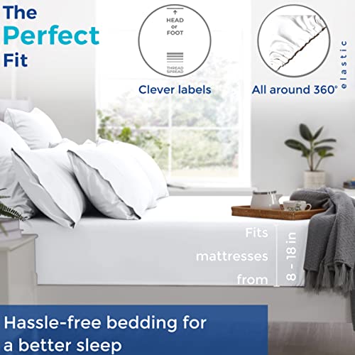 THREAD SPREAD Queen Size 1000 Thread Count Cotton Sheets - Image 4