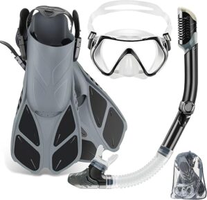 ZEEPORTE Travel Snorkel Set with Anti-Fog Mask