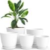 Utopia Home White Plastic Planters with Drainage – 5 Pack